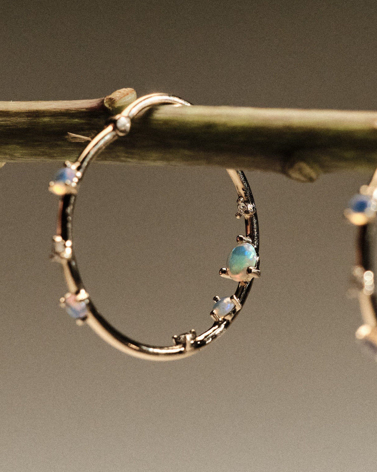 Gold hoop earrings with embedded australian opals and diamonds on a branch
