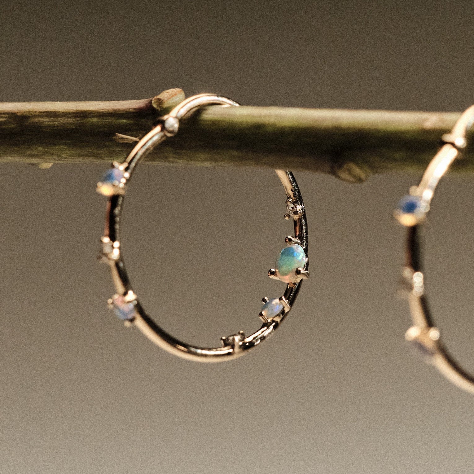 Gold hoop earrings with embedded australian opals and diamonds on a branch