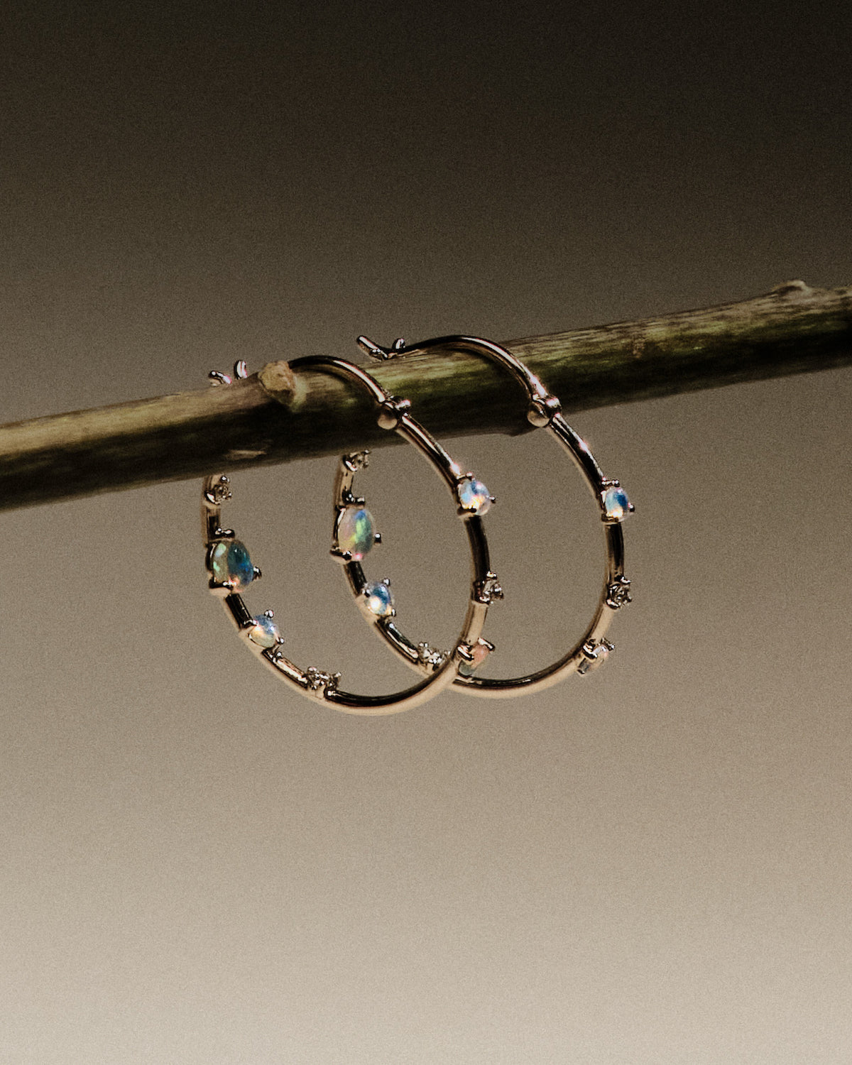 Gold hoop earrings with embedded australian opals and diamonds on a branch