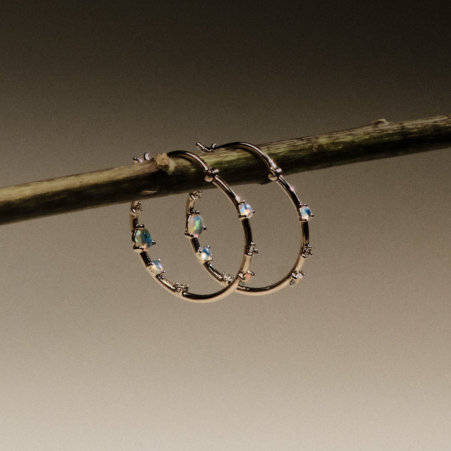 Gold hoop earrings with embedded australian opals and diamonds on a branch