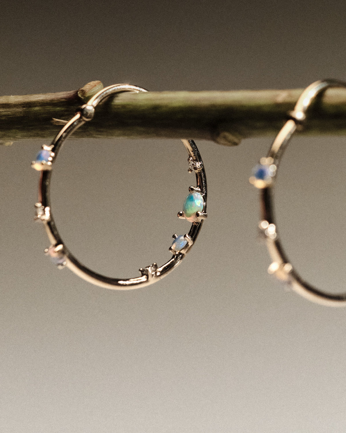 Gold hoop earrings with embedded australian opals and diamonds on a branch