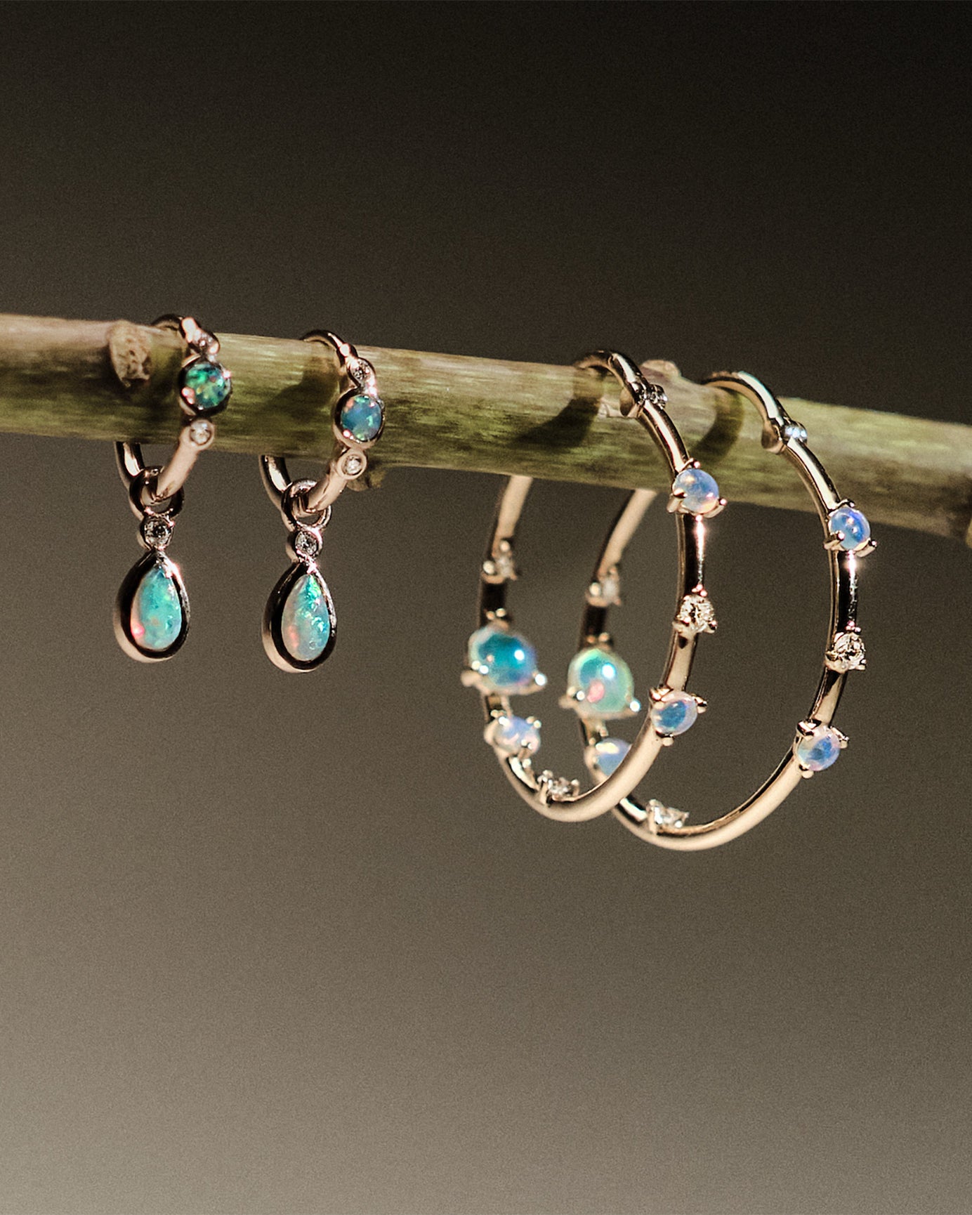 Gold hoop earrings with embedded australian opals and diamonds on a branch.