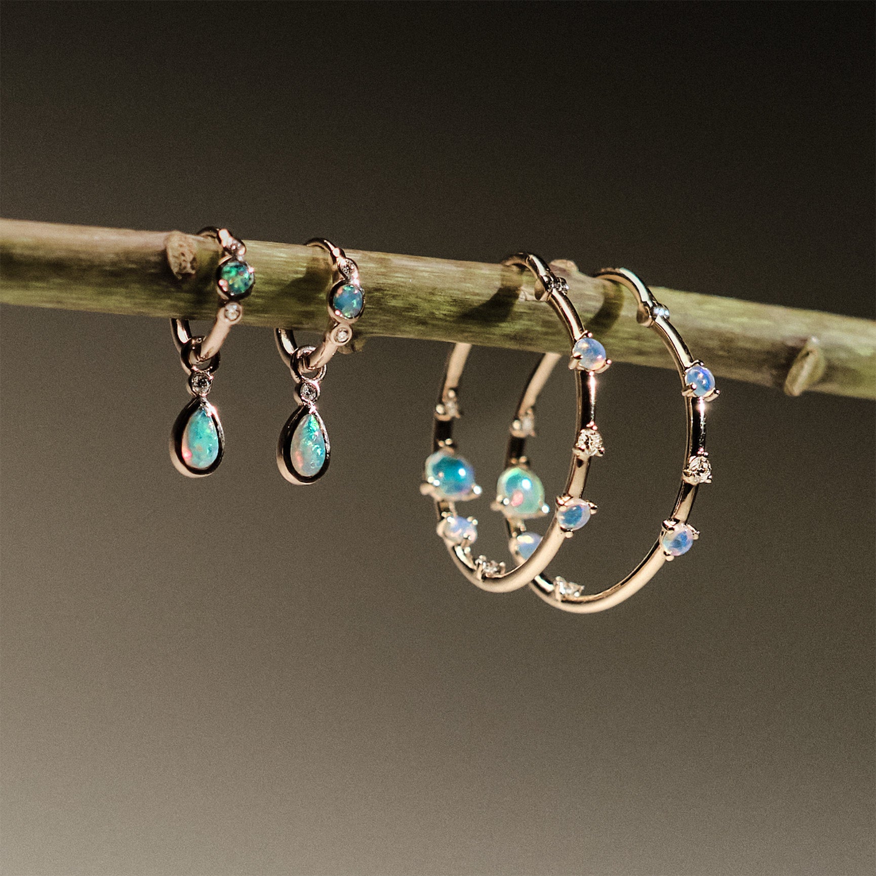 Gold hoop earrings with embedded australian opals and diamonds on a branch.
