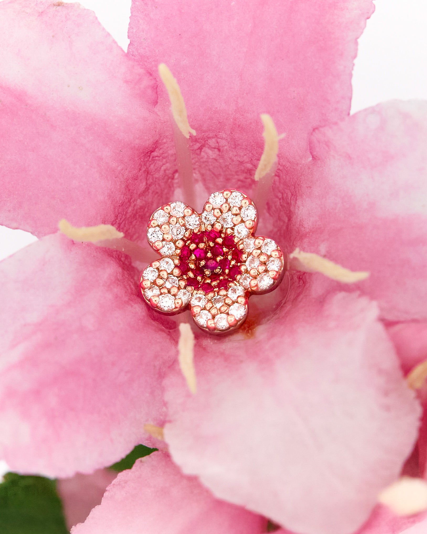 beautiful gold cherry blossom flower earrings on a pink flower