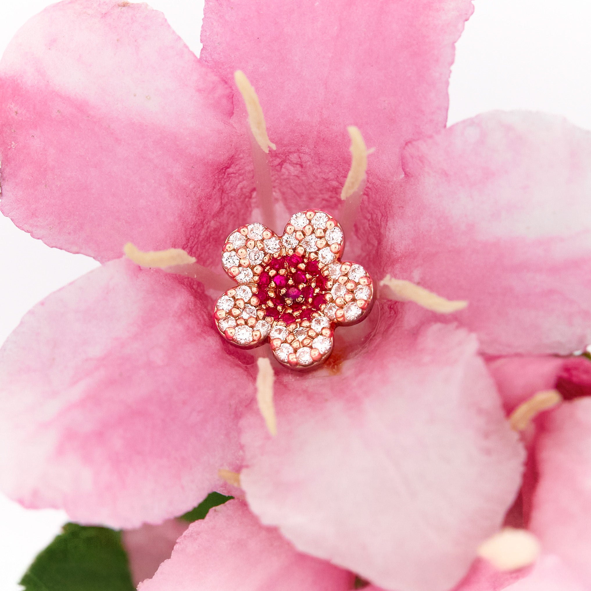 beautiful gold cherry blossom flower earrings on a pink flower