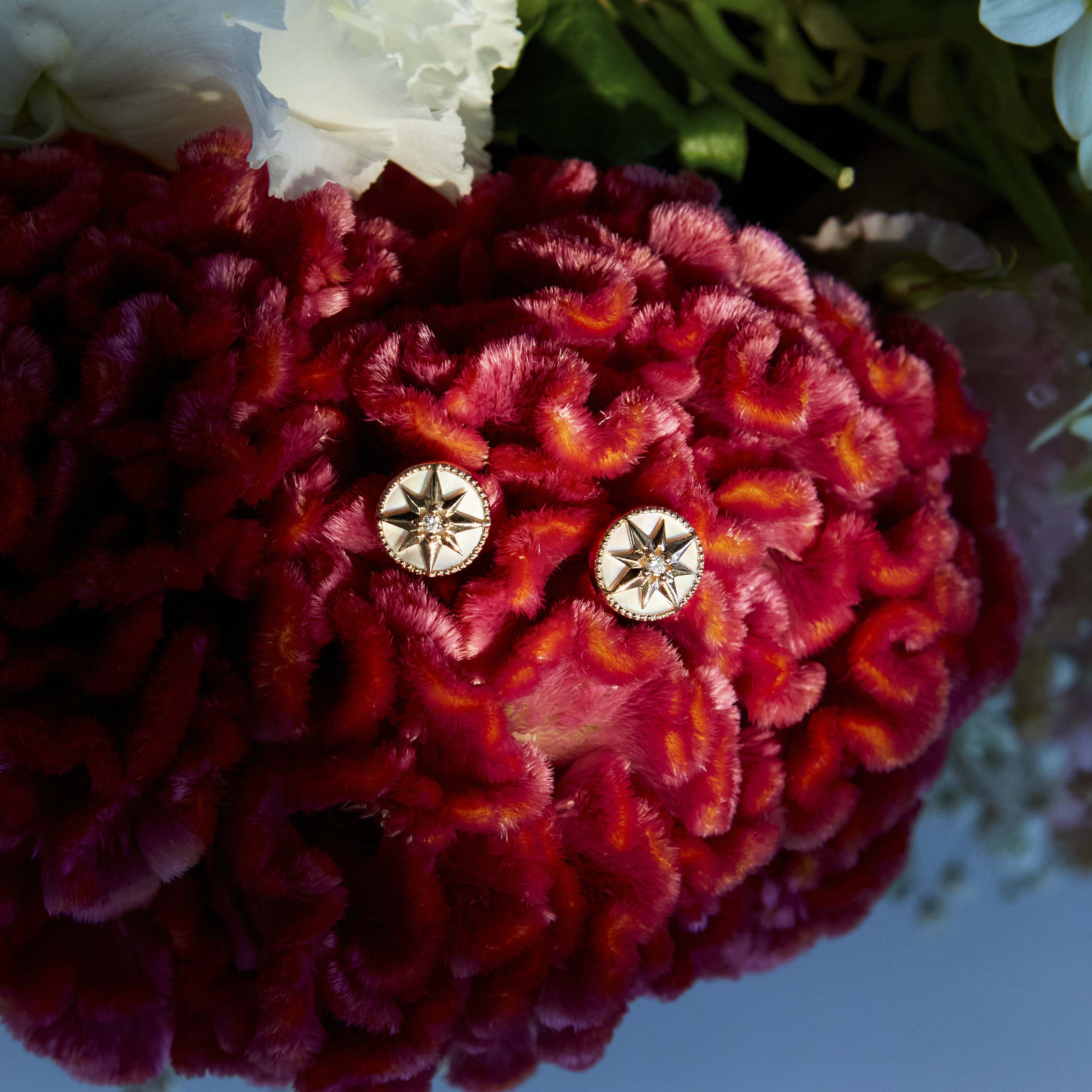 Rose gold Mother of Pearl earrings with a north star in the middle and a white diamond center piece. Elegant and versatile. Cercei cu perla din aur cu steaua nordului ca piesa centrala si un diamant in mijloc.