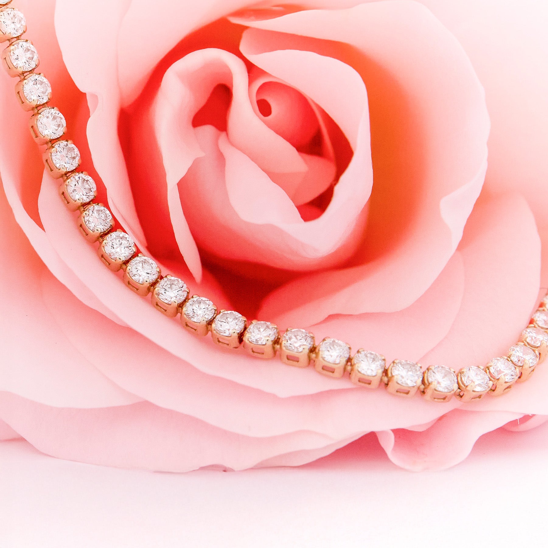 Rose gold bracelet with diamonds on a pink rose background