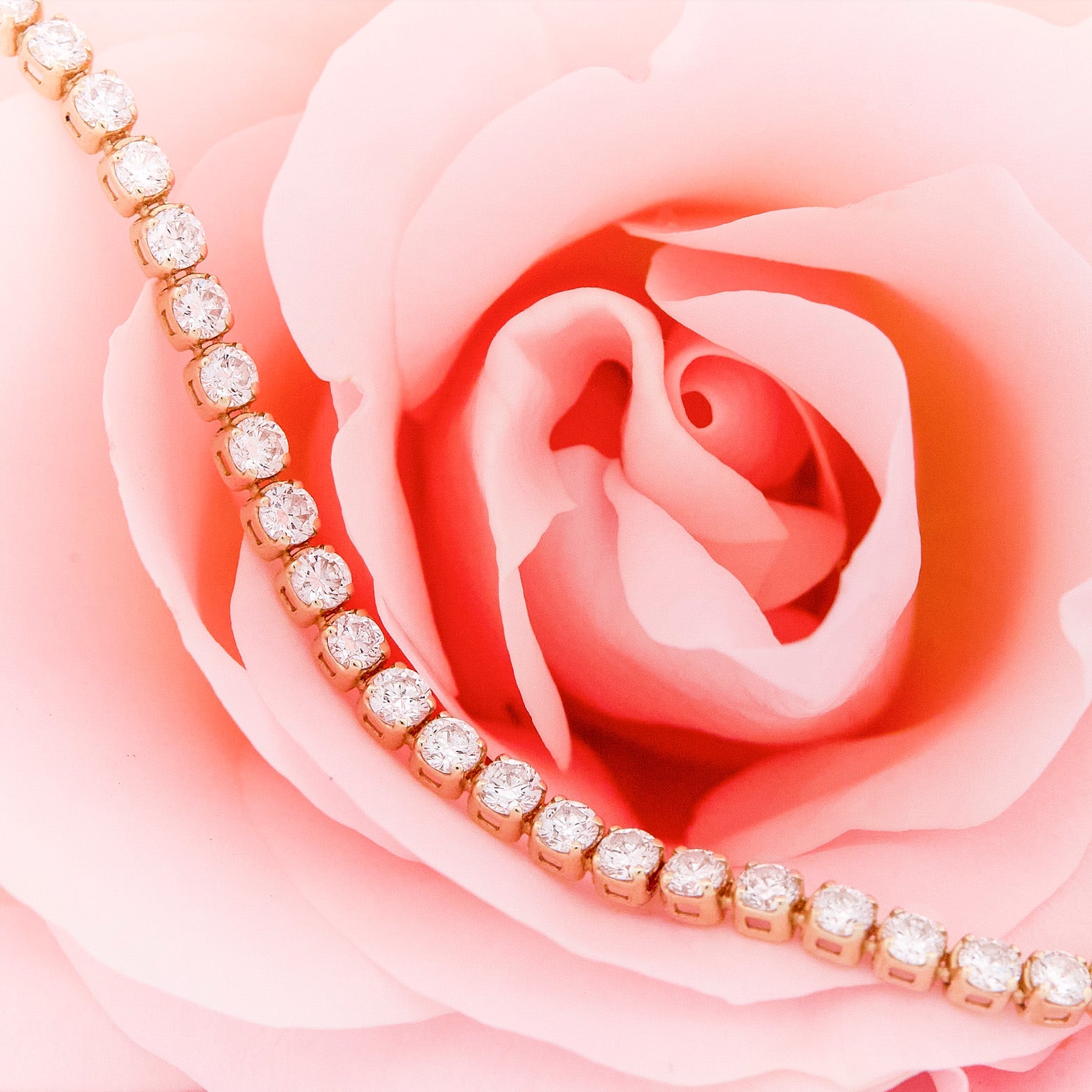 Diamond bracelet on a pink rose