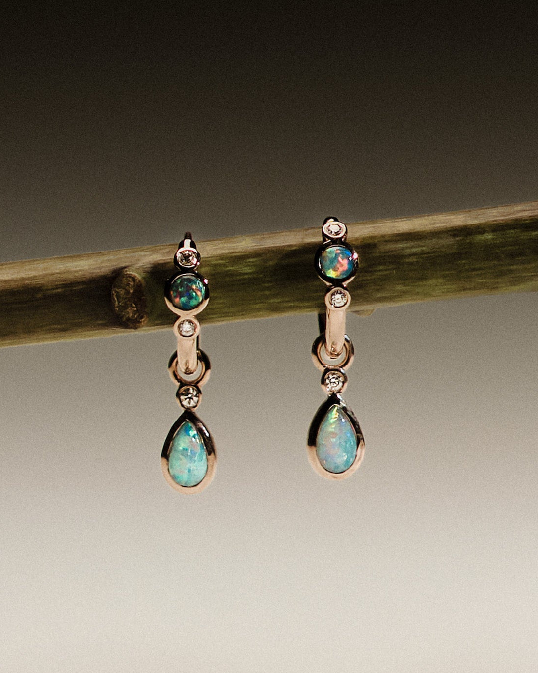 Pair of gold earrings with Australian Opals and Diamonds on a branch against a dark background.
