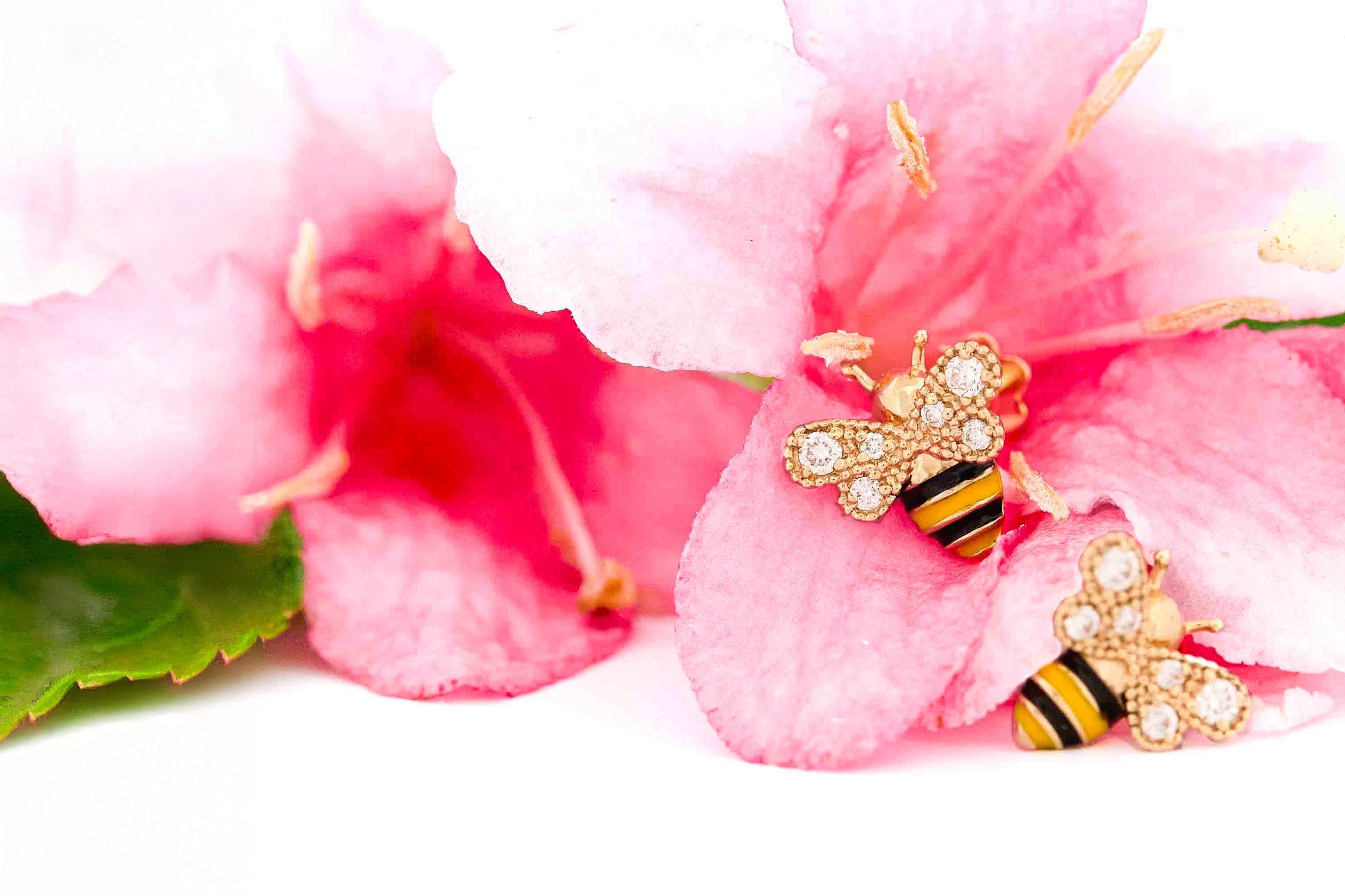 Fauna and Flora