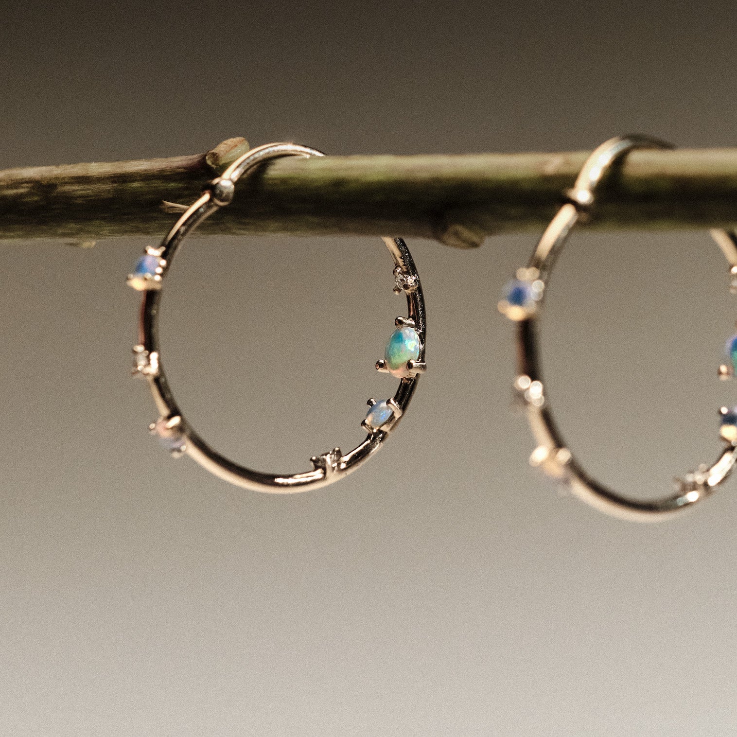 Gold hoop earrings with embedded australian opals and diamonds on a branch
