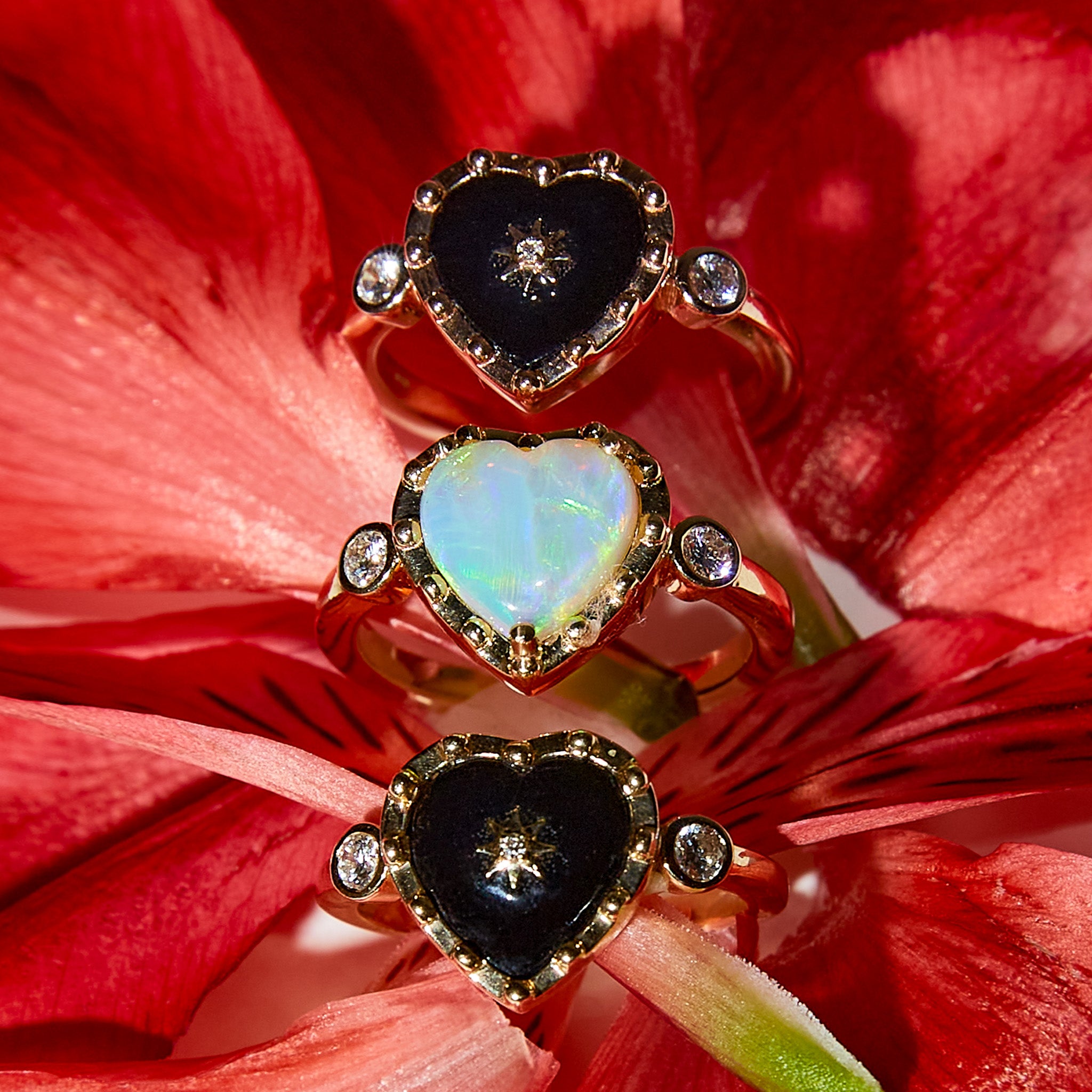 Australian Opal Heart Gold Ring and Black Onyx Heart Rings surrounded by red petals 