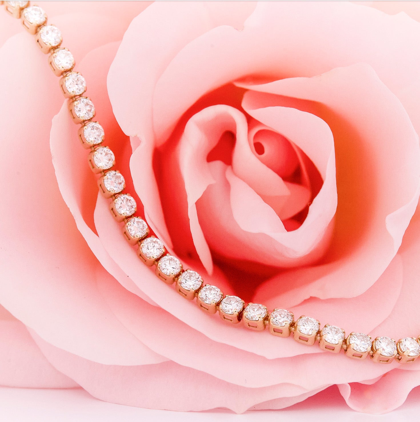 Rose gold bracelet with diamonds on a pink rose background