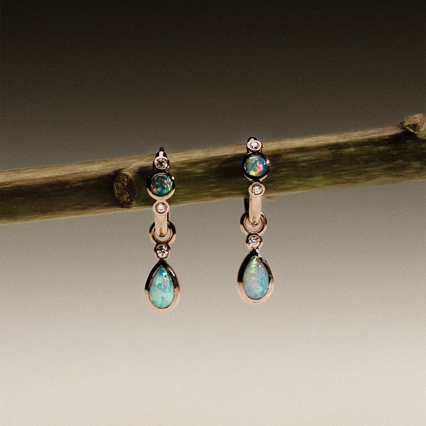 Pair of gold earrings with Australian Opals and Diamonds on a branch against a dark background.
