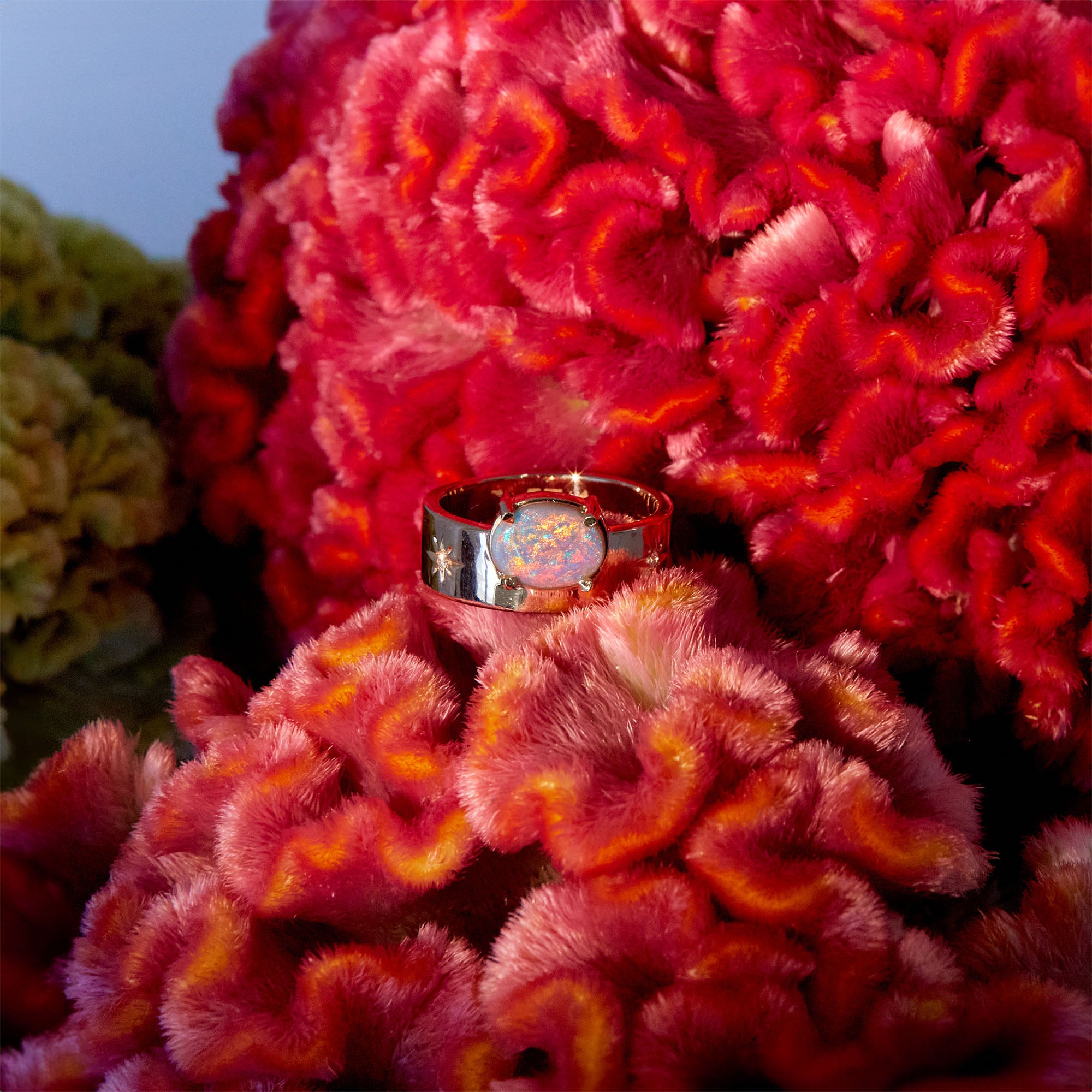 australian opal band ring in rose gold standing on  a bright red bushy flower