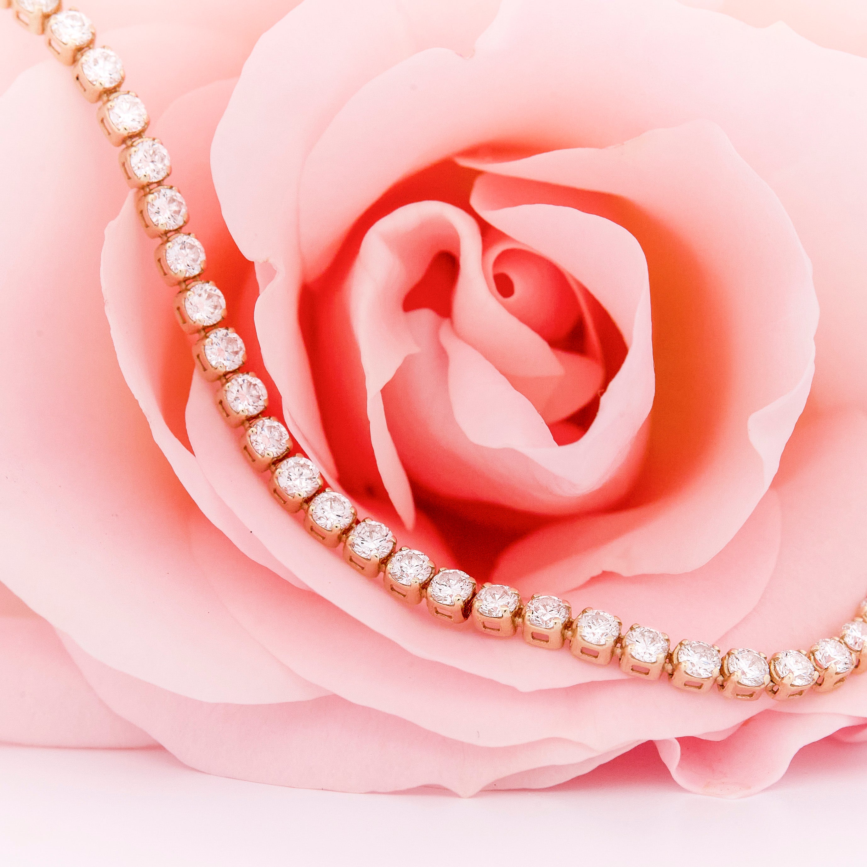 Diamond bracelet on a pink rose.